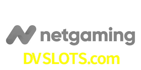 NetGaming
